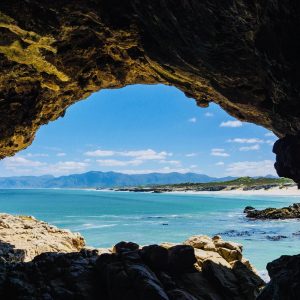 Walker Bay Nature Reserve awarded with WESSA Green Coast Status