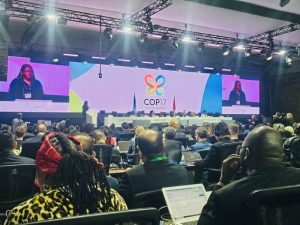 Turning priorities into investment-ready projects at COP17